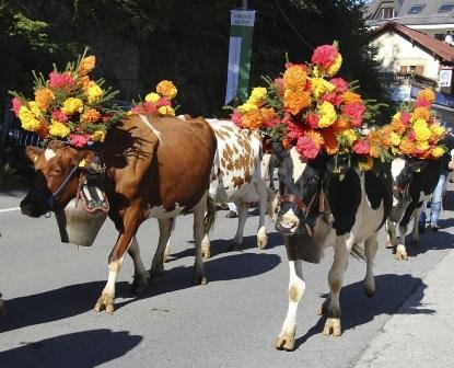 60d6b5d62db89368b28f5363672f006339de617e_2000[1]